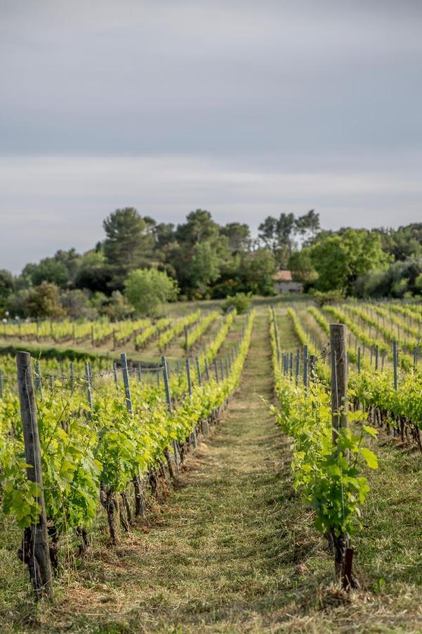 Domaine Rabiega - Vineyard And Boutique Hotel 드라기냥 외부 사진