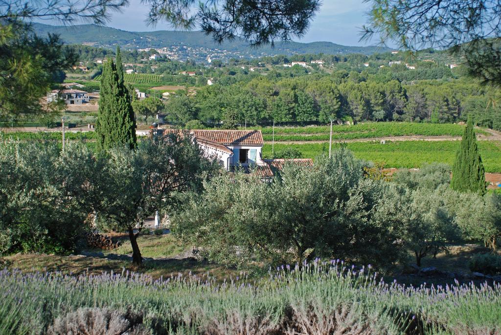 Domaine Rabiega - Vineyard And Boutique Hotel 드라기냥 외부 사진