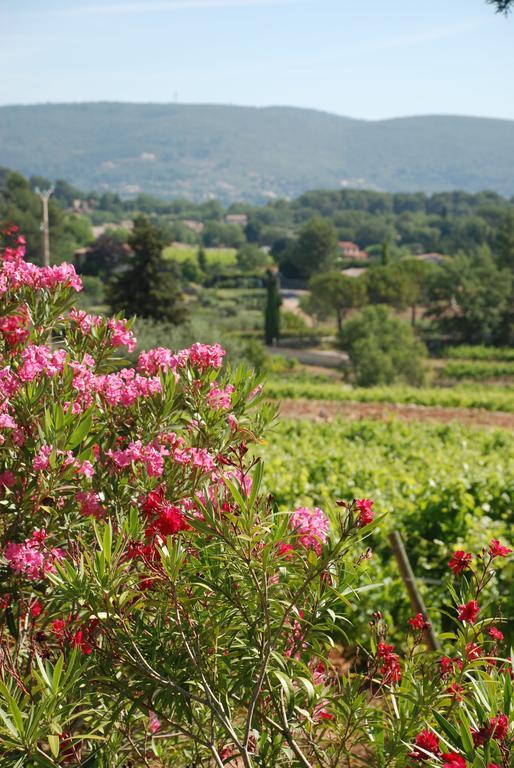 Domaine Rabiega - Vineyard And Boutique Hotel 드라기냥 외부 사진