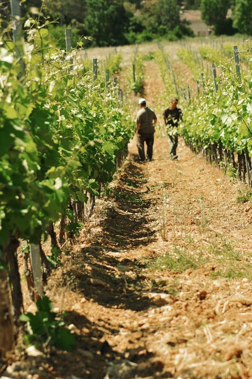 Domaine Rabiega - Vineyard And Boutique Hotel 드라기냥 외부 사진