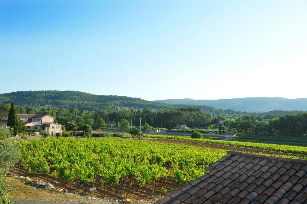 Domaine Rabiega - Vineyard And Boutique Hotel 드라기냥 외부 사진